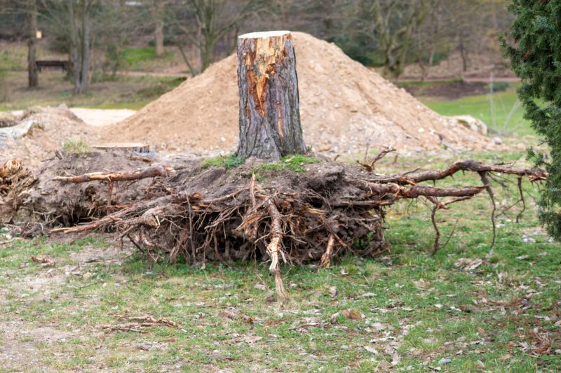 Excavation and Removal