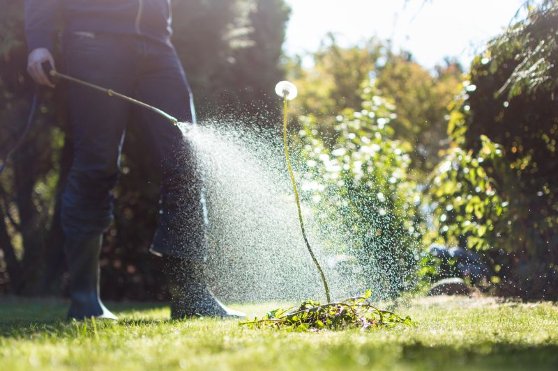 Soil Treatment and Disposal