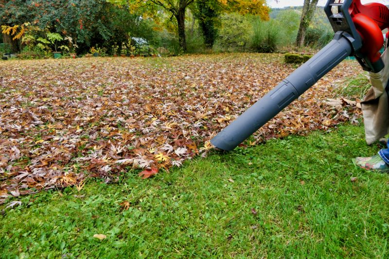 Equipment for Leaf Clearing