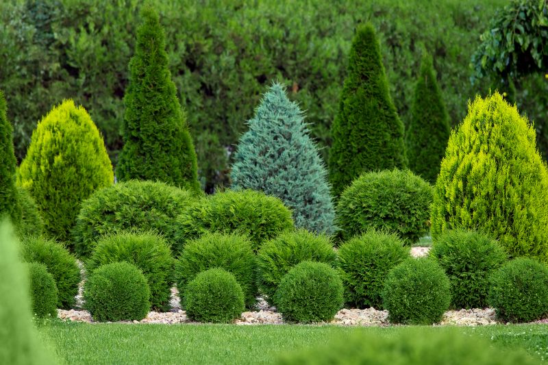 Shaping Shrubs for Curb Appeal